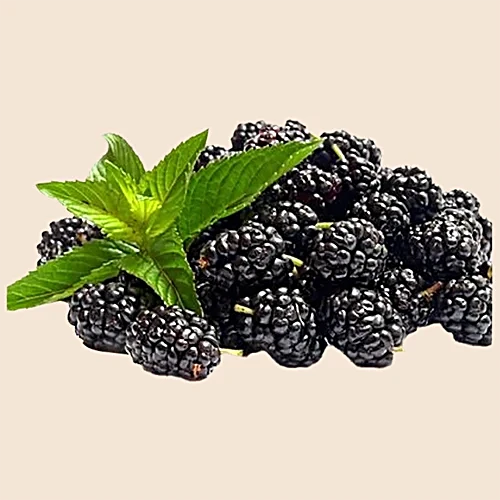 fresho! BlackBerry - Imported, 125 g